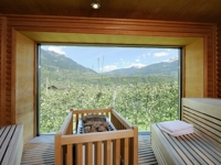 Bio- & Wellnesshotel PAZEIDER**** - G36 O (1)